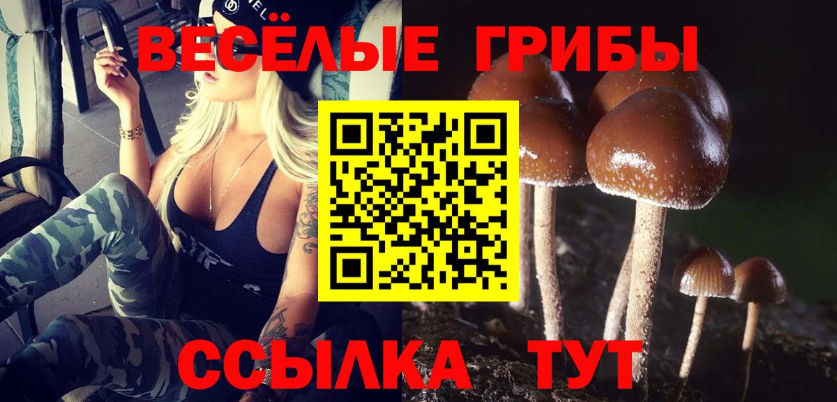 Галлюциногенные грибы прущие грибы Ессентуки